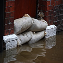 stacks_image_35039DB2-3CCD-41A0-B5C4-F0FA997406AA